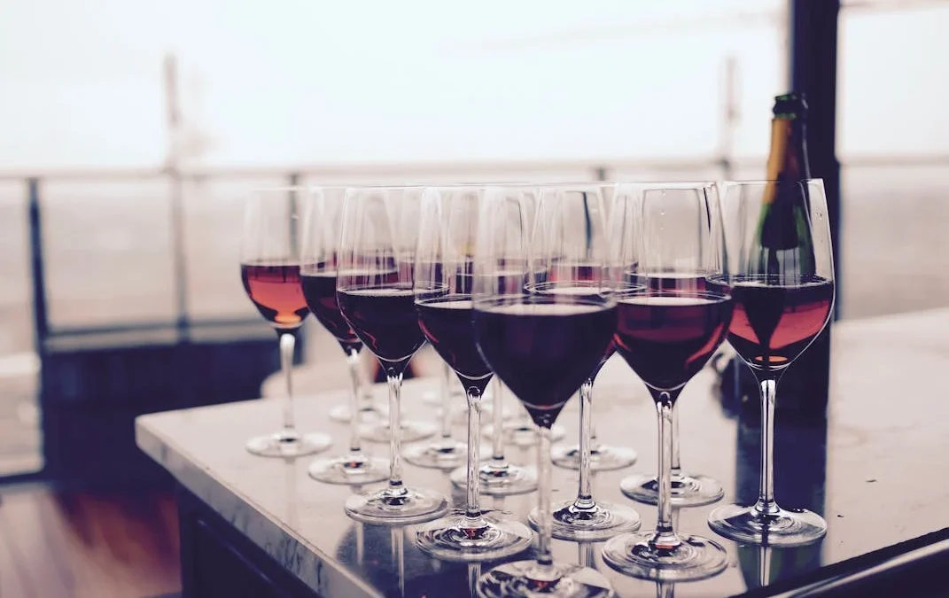 Wine tasting in Tenerife with views of the vineyards